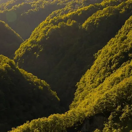 別荘 Wild Valley Palm Terrace In Valle Onsernone Loco